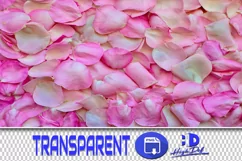 500 FLOWER PETALS TRANSPARENT PNG FILES PHOTOSHOP OVERLAYS Product Image 1