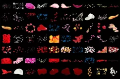 500 FLOWER PETALS TRANSPARENT PNG FILES PHOTOSHOP OVERLAYS Product Image 4