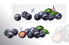 Aronia. Watercolor collection Product Image 4