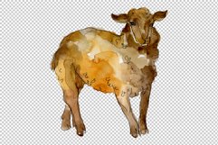 Farm animals lamb Watercolor png Product Image 7