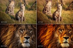 Africa Lr Presets Product Image 4