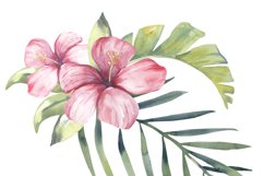 Watercolor Tropical Clipart. Product Image 3