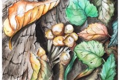 Leaves and mushrooms on the tree stump Product Image 1