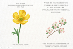 Watercolor Spring Flowers Clipart Product Image 2