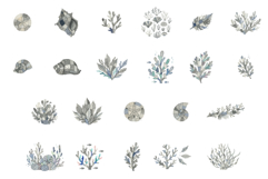 Summer Seal Clipart Product Image 8