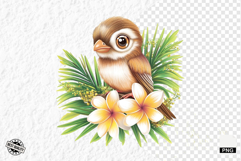 Tropical Birds Clipart - Summer Birds PNG Product Image 1