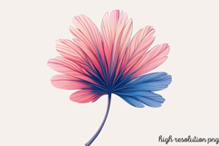 Pink Summer Sublimation Clipart PNG Product Image 1