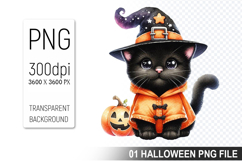 Halloween Witch Cat, Halloween Clipart PNG File Product Image 1