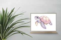 Cute Sea Turtle Marine Animal Aquatic Reptile PNG Summer Product Image 2