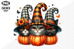 Halloween Cat And Pumpkin Sublimation - Clipart PNG Design Product Image 1