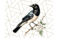 Vintage Song Bird Clipart PNG, Botanical Bird Art Clip Art Product Image 3