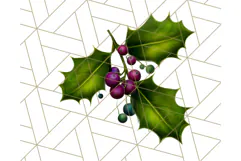 Peacock Christmas Clipart in Jewel Tones, Christmas Png Product Image 3