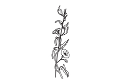 Line art botanical floral vertical border isolated on white Product Image 1