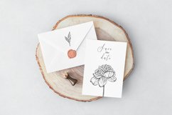 Peony svg, Hand drawn peony flowers PNG, Flowers SVG Product Image 6