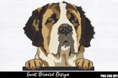 Saint bernard Sublimation, Saint bernard PNG Product Image 1