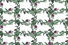 Botanical floral seamless pattern vector illustration vector Product Image 1