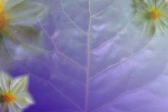 abstract floral sublimation &amp; printing 27 Product Image 1