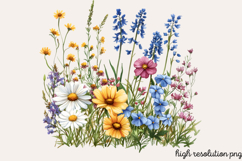 Wildflowers Arrangements Clipart PNG Product Image 1