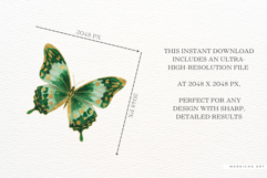 Glitter Spring Butterfly Clipart Product Image 5