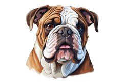 Bulldog Clipart | Watercolor Dog Clipart PNG Product Image 1