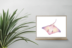 Cute Stingray Marine Animal Ocean Fish PNG Summer Aquatic Product Image 2
