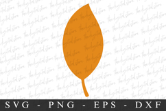Leave Svg | Fall Svg | Svg Cut File Product Image 1