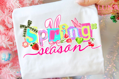 Spring Season png, Spring Coquette bow PNG, Preppy spring pn Product Image 3