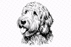 Labradoodle Dog Svg Design | Animal Svg | Svg Cut File Product Image 1