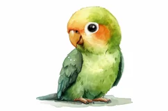Cute Parrot Bird Baby Watercolor Handmade illustration Product Image 3