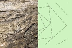 old wooden surface Product Image 1