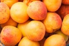 apricots top view Product Image 1