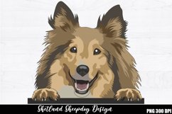 Shetland sheepdog Sublimation, Shetland sheepdog PNG Product Image 1