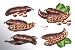 Carob. Watercolor collection Product Image 2