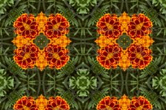 12 abstract Seamless colorful FLOWER patterns pack. Product Image 6