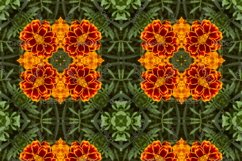 12 abstract Seamless colorful FLOWER patterns pack. Product Image 6