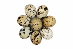 Quail Eggs Isolated on White Product Image 3