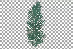 Cotton bolls and fir branch leafy autumn and winter decor Product Image 20