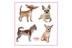 Watercolor Chihuahua Png clipart Product Image 4