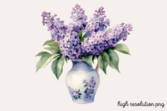 Lilac Flower Watercolor Cliparts PNG Product Image 1