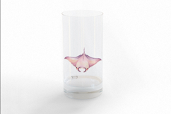 Cute Manta Ray Ocean Giant Marine Animal PNG Summer Aquatic Product Image 3