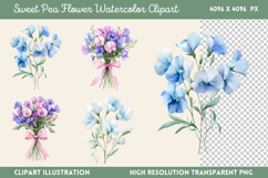 Sweet Pea Flower Watercolor Clipart PNG Product Image 1