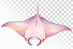 Cute Manta Ray Ocean Giant Marine Animal PNG Summer Aquatic Product Image 1