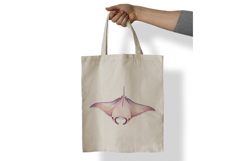 Cute Manta Ray Ocean Giant Marine Animal PNG Summer Aquatic Product Image 7