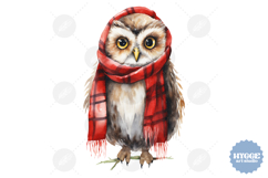 Christmas Owl Sublimation PNG Winter Cute Owls Product Image 1
