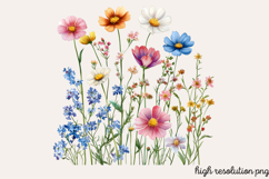 Wildflowers Arrangements Clipart PNG Product Image 1