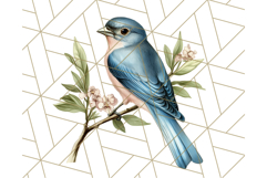 Vintage Song Bird Clipart PNG, Botanical Bird Art Clip Art Product Image 5