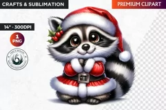 Christmas raccoon clipart , winter clipart, christmas png Product Image 1