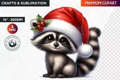 Christmas raccoon clipart , winter clipart, christmas png Product Image 1