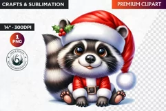Christmas raccoon clipart , winter clipart, christmas png Product Image 1