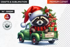 Christmas raccoon clipart , winter clipart, christmas png Product Image 1